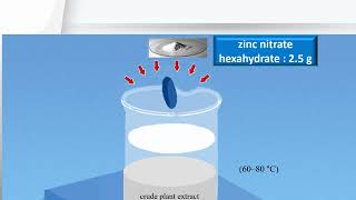 Green Synthesis of Zinc Oxide nanoparticles [upl. by Ietta]