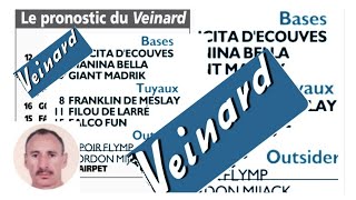 Le veinard analyse le Quinté du vendredi 21 Juin 24 à Vincennes [upl. by Eelymmij]