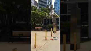 By Metro Hall on KingStreet 🇨🇦 downtowntoronto downtown toronto shorts [upl. by Ardna]