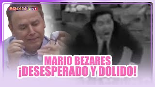 Mario Bezares desesperado y dolido  MICHISMECITO [upl. by Elawalo]