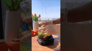 Amazing aquarium fishbowlsetup fishaquarium fishing aquariam fishtank fishbowl fishing [upl. by Towill]