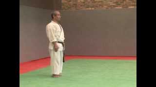 5 Pinan Godan Wado Ryu [upl. by Ariayek]