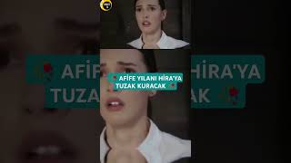 Afife yılanı Hiraya tuzak kurdu kaf [upl. by Anitreb709]