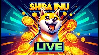 Shiba Inu Live [upl. by Macfarlane]