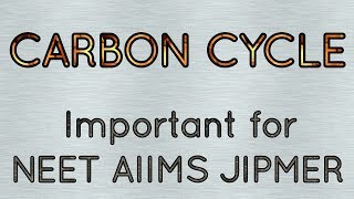 Carbon cycle in detailEcosystem [upl. by Retsof]