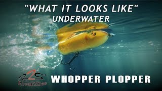 River2Sea Whopper Plopper  What it Looks Like Underwater [upl. by Gonnella970]