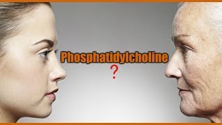 Phosphatidylcholine Lecithin Lesser Known AntiAging and Memory Supplements [upl. by Enetsirhc672]