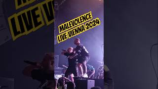 Malevolence Live Vienna 2024 [upl. by Emolas391]