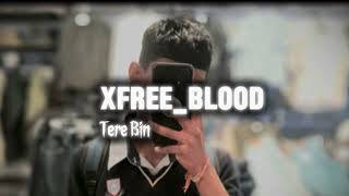 RabbiShergillTereBinReggaeRiddim AVISH679 Xfreeblood [upl. by Matthiew32]