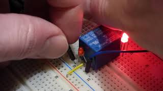 Electronics single pole double throw switch demonstration circuit using SRD 05VDC SL C relay [upl. by Ahsienel782]