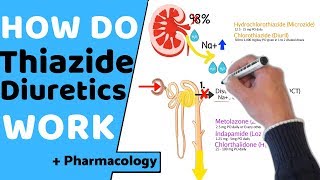 How do Thiazide Diuretics Work  Pharmacology [upl. by Annaili]