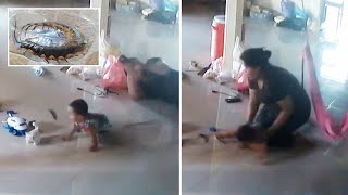 Mother Makes EPIC Save To Stop Centipede Biting Baby [upl. by Anala622]