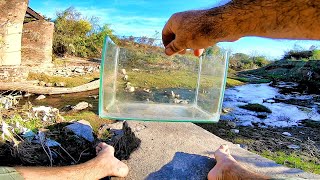 RECORRIDA por RÍO LLENO DE PECES y ARMO TERRARIO acuario urbano pesca urbana [upl. by Enamrahs]