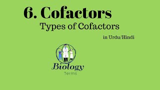 Types of Cofactors  Cofactors Class 11 Biology  Enzymes [upl. by Jacinta]