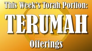 WP TORAH READING TERUMAH [upl. by Notnad]