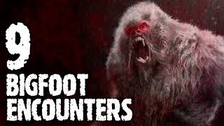 9 HORRIFYING BIGFOOT ENCOUNTERS Sasquatch Bigfoot  What Lurks Beneath [upl. by Adnerad]