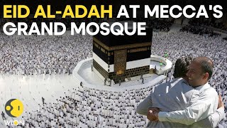 Hajj 2023 LIVE Eid alAdah at Meccas Grand Mosque  Saudi Arabia LIVE  WION LIVE [upl. by Ennirac924]