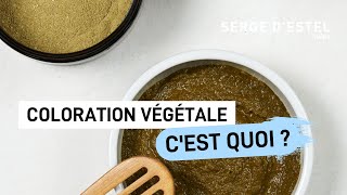 TOUT SAVOIR SUR LA COLORATION VÉGÉTALE [upl. by Haneehs761]