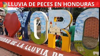 La lluvia de peces de Yoro un fenómeno único en Honduras [upl. by Alletnahs]