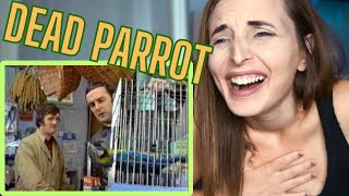 REACTING TO MONTY PYTHON  Dead Parrot Sketch [upl. by Oram]