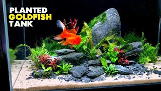 Aquascape Tutorial Fancy Goldfish Planted Aquarium How To Step by Step Build Guide [upl. by Ettenauq]