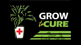 Grow to Cure Part 2  Apostle Eliseus Joseph [upl. by Drawyah]