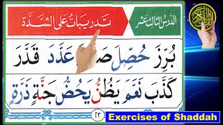 Quran Tajweed  Noorani Qaida lesson 13  How to read Arabic  Shaddah in Arabic  Alif Baa Taa [upl. by Doloritas]