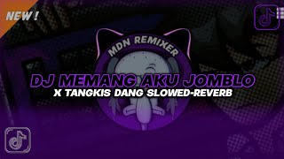 DJ MEMANG AKU JOMBLO X TANGKIS DANG SLOWED REVERB  DJ MALAM MINGGU AKU TAK PUNYA PACAR TERBARU 2024 [upl. by Latyrc916]