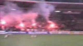 Red Star Belgrade Ultras [upl. by Alita]