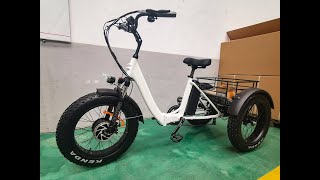 Anlochi 20quot 48V 750W Bafang motor fat folding electric cargo bike 3 wheel electric trike [upl. by Winzler]