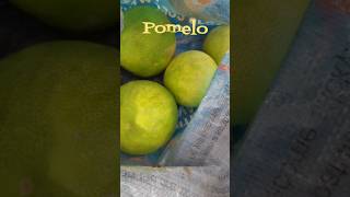 Fruitful moments  Pomelo harvest phillipines [upl. by Tur]