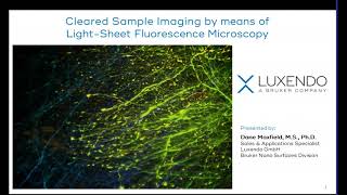 Light Sheet Microscopy  Cleared Sample Imaging  Bruker [upl. by Nobie]