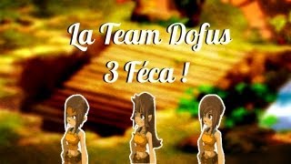 Dofus Succès  Team des 3 Féca  Donjon des Bouftous 4 [upl. by Schrader772]