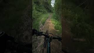 Exploring Kabankalan city natural mtb trails [upl. by Iralam355]