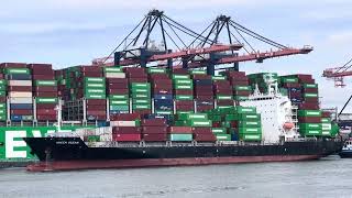 Evergreen Containerschip 21000 containers Capaciteit [upl. by Anahsor63]