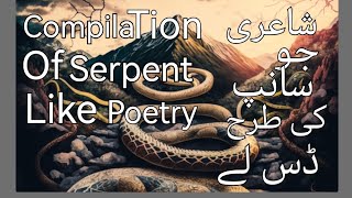 gazab ki shayary  best compilation of poetry [upl. by Nauqe510]