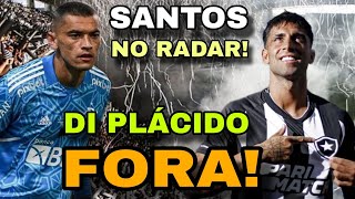 BOTAFOGO QUER CONTRATAR GOLEIRO DO FLAMENGO DI PLÁCIDO DÁ ADEUS AO BOTAFOGO [upl. by Ailedamla]