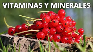 ¿Cuáles son las VITAMINAS y MINERALES de la Grosella Beneficios y tipos de GROSELLA [upl. by Aitselec545]