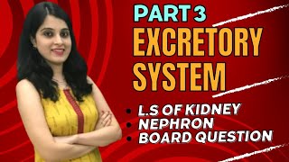 Understanding the Excretory System The Kidney and Nephron Explained  Biology Class 10  DRUB [upl. by Accem]