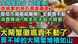 全完了！大閘蟹也賣不動了！商戶賣到破產，賣不出去的螃蟹堆積如山，陽澄湖大閘蟹跌成「白菜價」，整個市場全部癱瘓！消費降級，根本吃不起大閘蟹了陽澄湖 大閘蟹 滯銷 消費降級 大閘蟹暴跌 [upl. by Murial]