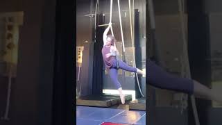 Trapeze in 2019 aerialsilks aerialarts aerialdance circus [upl. by Delwin]