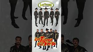 Los Tucanes De Tijuana Los Tigres Del Norte Grupo Exterminador Puros Corridos mp4 [upl. by Karisa58]