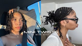 MINI TWISTS on Natural Hair  PROTECTIVE STYLE  Pria Symone [upl. by Morven]