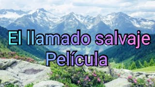 ⚡El llamado salvaje ⚡ Película completa [upl. by Dana]