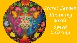 Speed Coloring  Humming Birds  Secret Garden by Johanna Basford [upl. by Ailehpo]