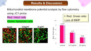 Molecular Basis of Sida cordifolia L Induced Apoptosis in Melanoma Cell Line [upl. by Yesnikcm]