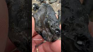 Just another rock or a sweet botryoidal 🫧 botryoidal blackagate agate rockhounding [upl. by Ful304]