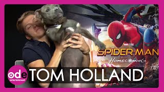 TOM HOLLAND y ZENDAYA nos hablan de SPIDERMAN NO WAY HOME ¡Bromas y curiosidades [upl. by Tildy842]