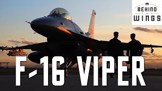 F16 Viper  Behind the Wings [upl. by Wildee210]