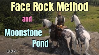 A Look at the Face Rock Method for Getting an Early Game Missouri Fox Trotter  RDR2 [upl. by Trabue]